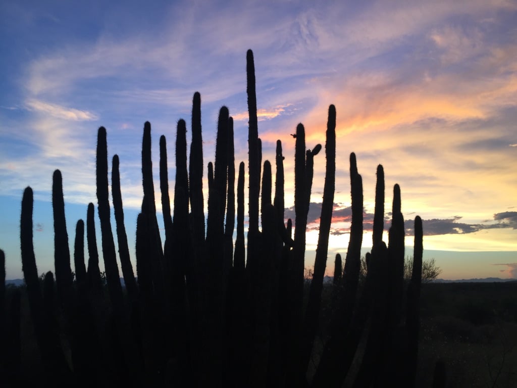 HACIENDA MOLINITO- Molinito, Sonora 023